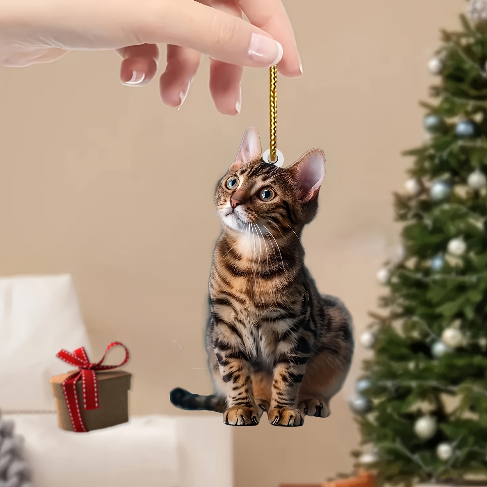 3 adet 2D Düz Kedi Akrilik Kol - Car Accessories Walmart incelemesi ve fiyatı