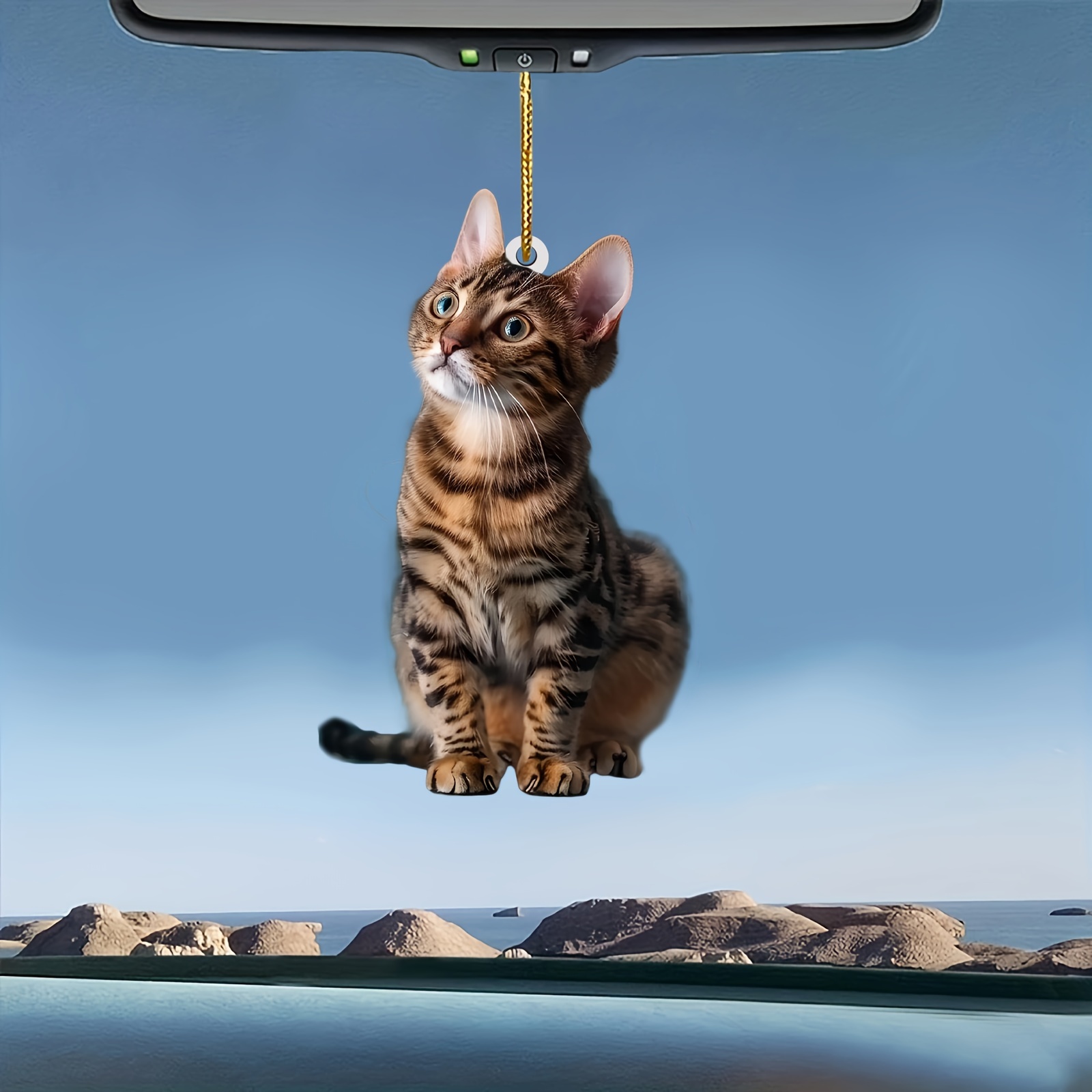 3 adet 2D Düz Kedi Akrilik Kol - Car Accessories Walmart incelemesi ve fiyatı