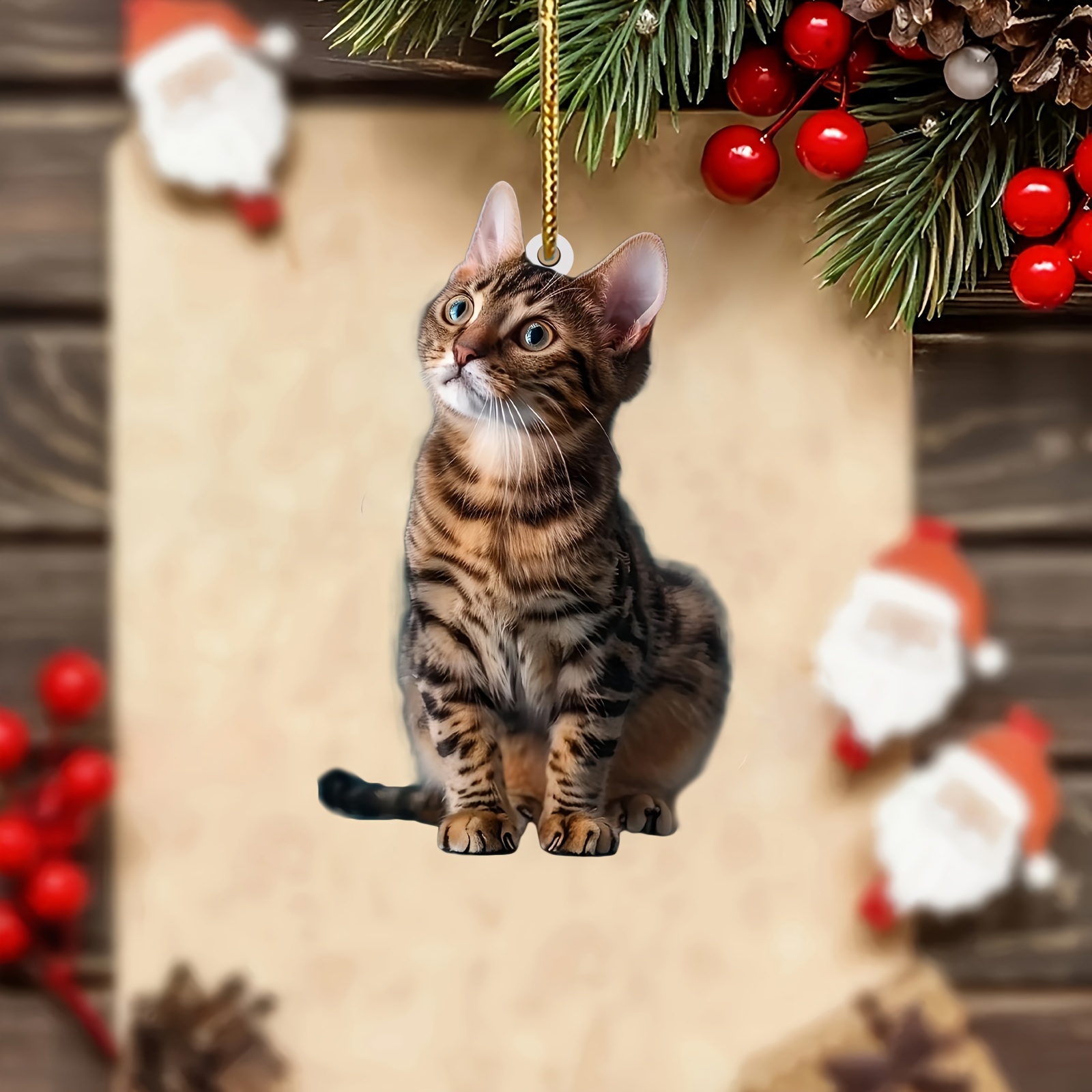 3 adet 2D Düz Kedi Akrilik Kol - Car Accessories Walmart incelemesi ve fiyatı